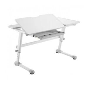 Biurko dla dzieci ergonomiczne Ergo Office, z regulacją wysokości, szare, max 75kg, ER-435