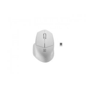 Mysz bezprzewodowa Natec Siskin 2 optyczna 1600 DPI BT 5.0 + 2.4 GHz z cichym klikiem biała