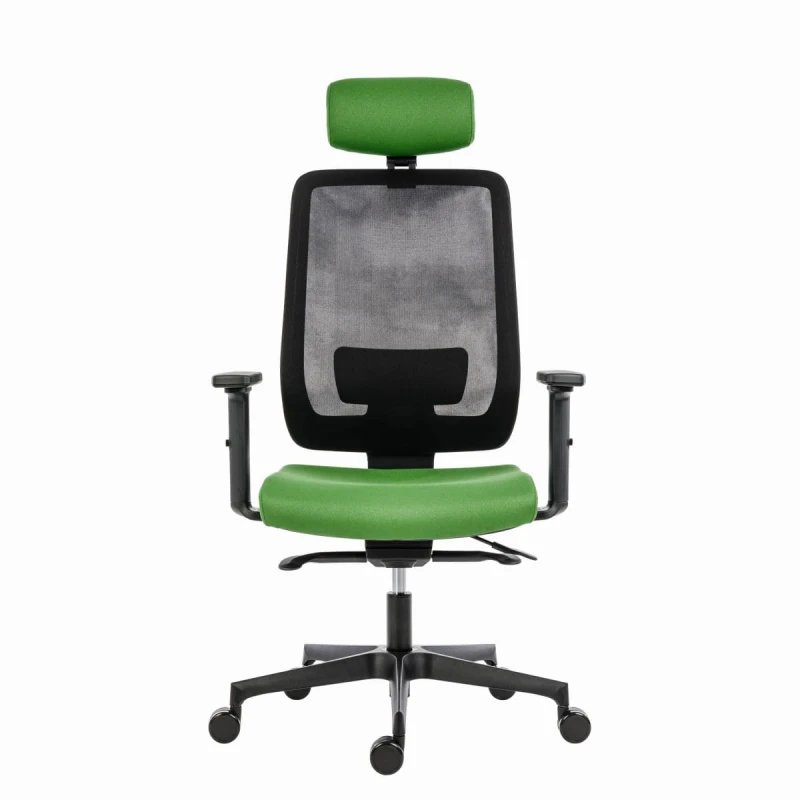 Powerton Ergonomiczny fotel biurowy Lucie, Zielony