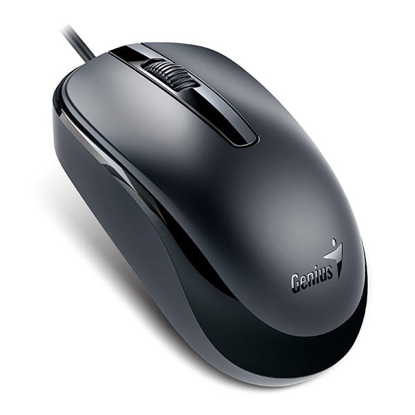 Mysz przewodowa, Genius DX-120, czarna, optyczna, 1200DPI, USB-C